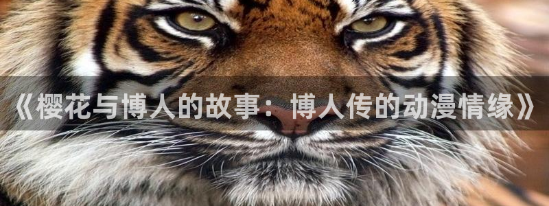 樱花动漫-专注动漫的门户官网：《樱花与博人的故事：博人传的动漫情缘》
